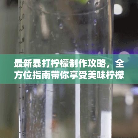 最新暴打柠檬制作攻略，全方位指南带你享受美味柠檬饮品