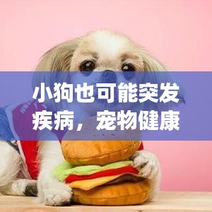 小狗也可能突发疾病,宠物健康不容忽视的重要性