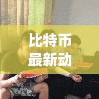 比特币最新动态报告,今日市场深度解析