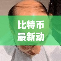 比特币最新动态报告,今日市场深度解析