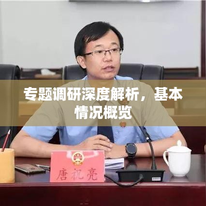 专题调研深度解析，基本情况概览
