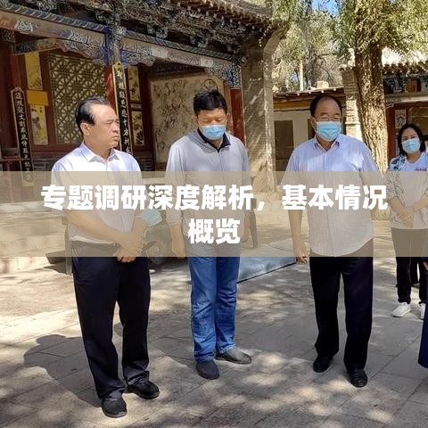 专题调研深度解析,基本情况概览