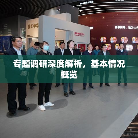 专题调研深度解析,基本情况概览