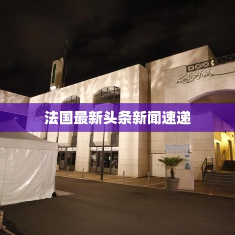 法国最新头条新闻速递