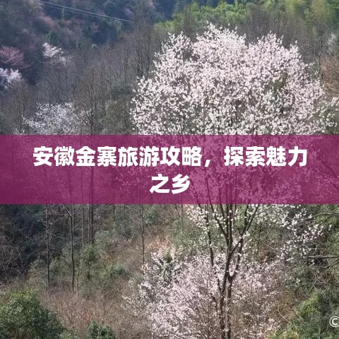 安徽金寨旅游攻略，探索魅力之乡