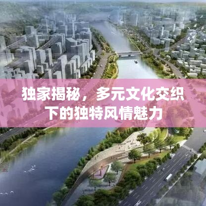 独家揭秘,多元文化交织下的独特风情魅力