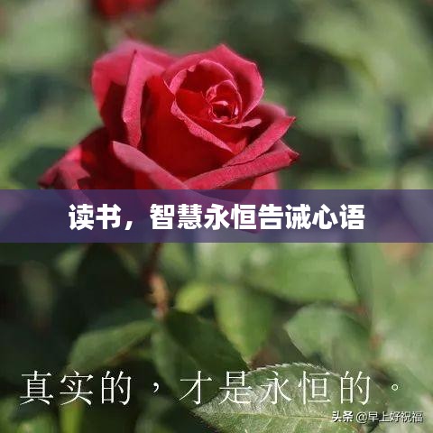 读书，智慧永恒告诫心语