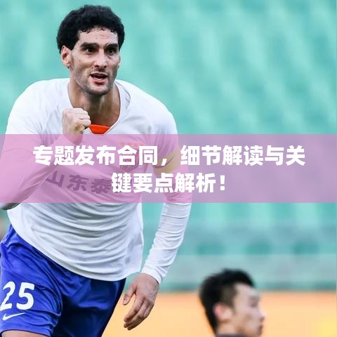 专题发布合同,细节解读与关键要点解析!