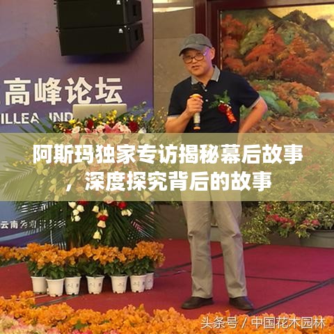 阿斯玛独家专访揭秘幕后故事,深度探究背后的故事