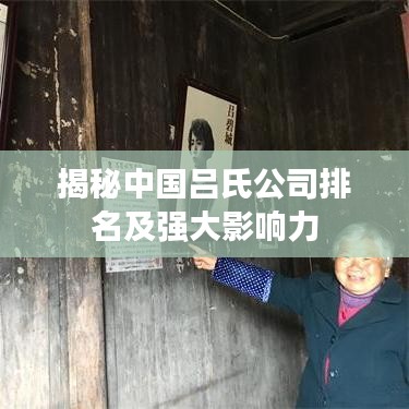 揭秘中国吕氏公司排名及强大影响力