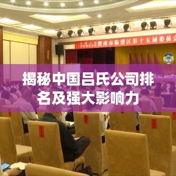 揭秘中国吕氏公司排名及强大影响力