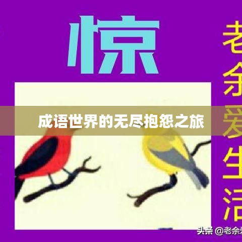 成语世界的无尽抱怨之旅