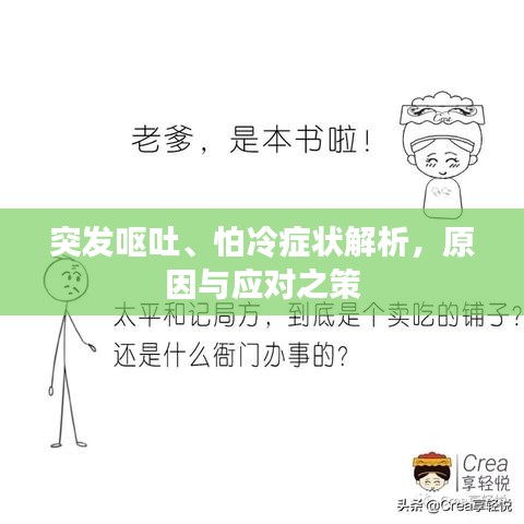 突发呕吐、怕冷症状解析，原因与应对之策