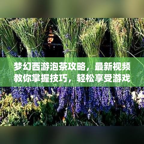 梦幻西游泡茶攻略，最新视频教你掌握技巧，轻松享受游戏乐趣！