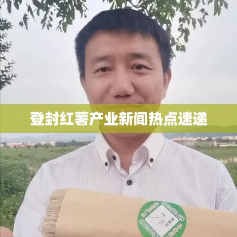 登封红薯产业新闻热点速递