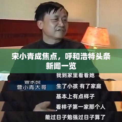 宋小青成焦点，呼和浩特头条新闻一览