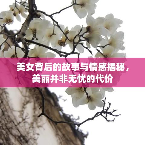 美女背后的故事与情感揭秘,美丽并非无忧的代价