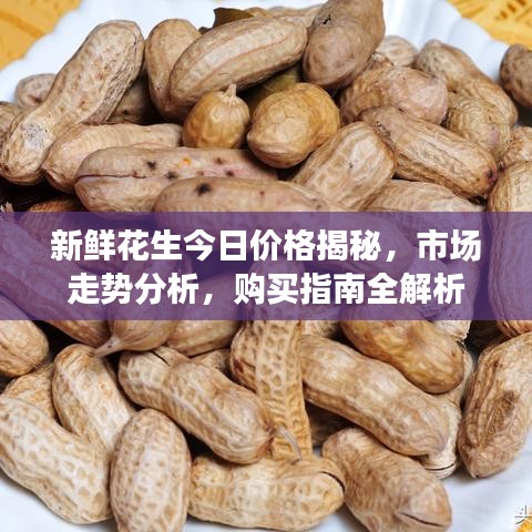 新鲜花生今日价格揭秘，市场走势分析，购买指南全解析