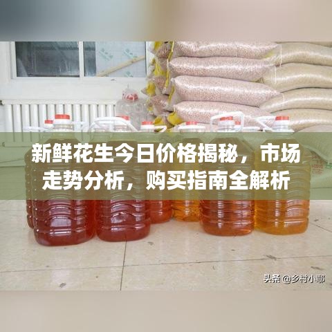 新鲜花生今日价格揭秘,市场走势分析,购买指南全解析