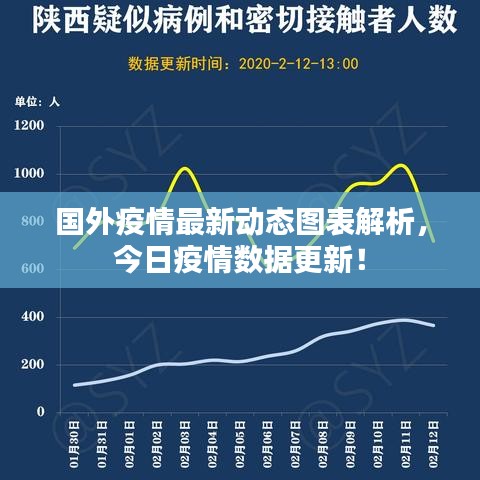 国外疫情最新动态图表解析,今日疫情数据更新!