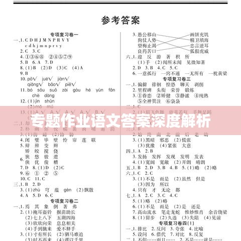 专题作业语文答案深度解析