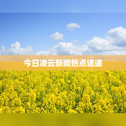 今日凌云新闻热点速递