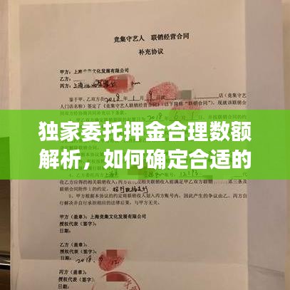 独家委托押金合理数额解析,如何确定合适的押金标准?