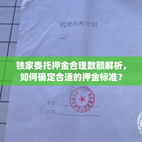 独家委托押金合理数额解析,如何确定合适的押金标准?