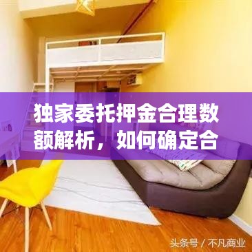 独家委托押金合理数额解析,如何确定合适的押金标准?