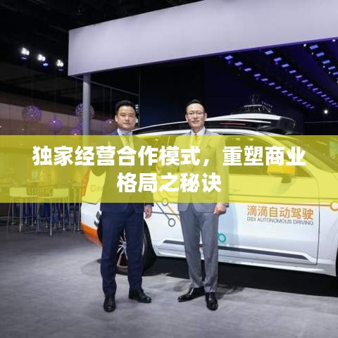 独家经营合作模式,重塑商业格局之秘诀