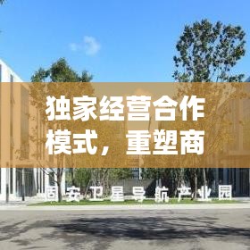 独家经营合作模式,重塑商业格局之秘诀