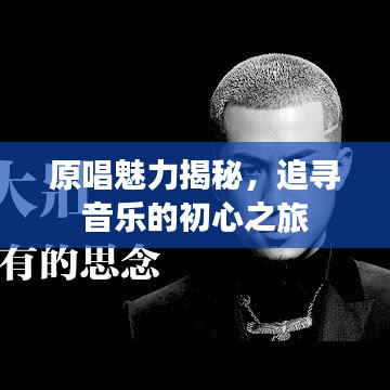 原唱魅力揭秘,追寻音乐的初心之旅