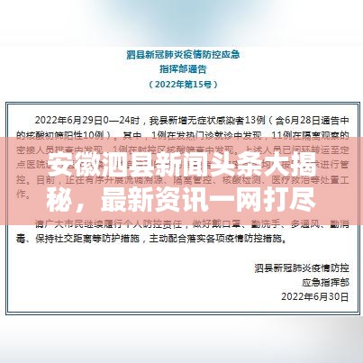 安徽泗县新闻头条大揭秘，最新资讯一网打尽！