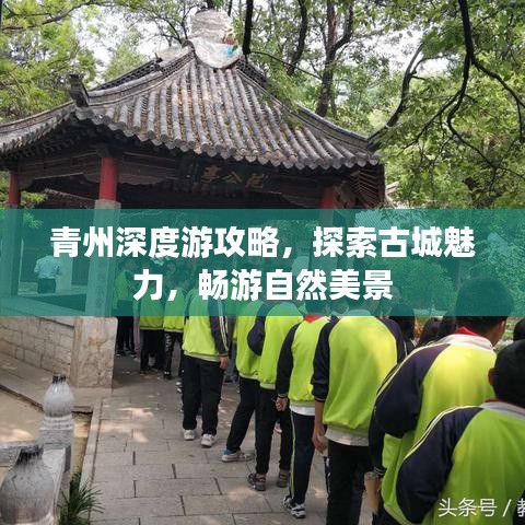 青州深度游攻略，探索古城魅力，畅游自然美景