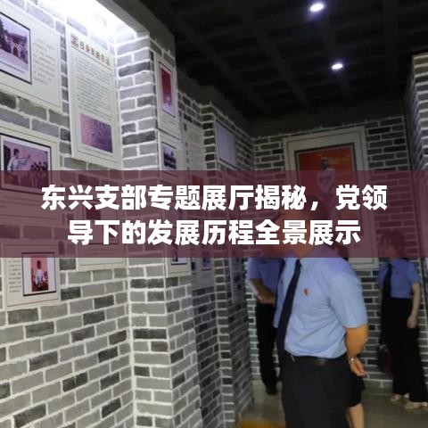 东兴支部专题展厅揭秘，党领导下的发展历程全景展示