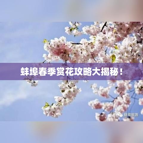 沉灶生蛙 第6页