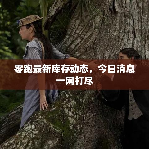 零跑最新库存动态，今日消息一网打尽