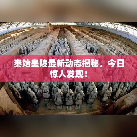 秦始皇陵最新动态揭秘,今日惊人发现!