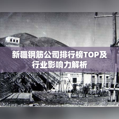 新疆钢筋公司排行榜TOP及行业影响力解析