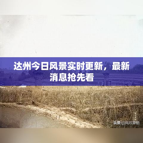 达州今日风景实时更新,最新消息抢先看