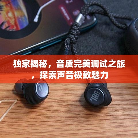 独家揭秘,音质完美调试之旅,探索声音极致魅力