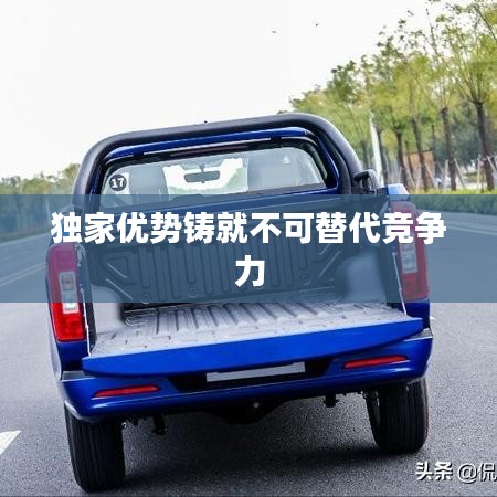 独家优势铸就不可替代竞争力