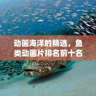 动画海洋的精选，鱼类动画片排名前十名，畅游视觉盛宴