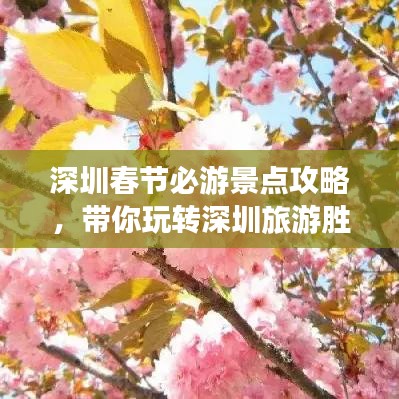 深圳春节必游景点攻略，带你玩转深圳旅游胜地！
