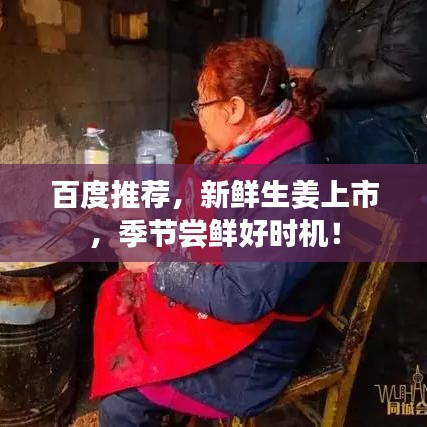 百度推荐,新鲜生姜上市,季节尝鲜好时机!