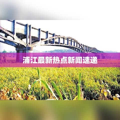 浦江最新热点新闻速递