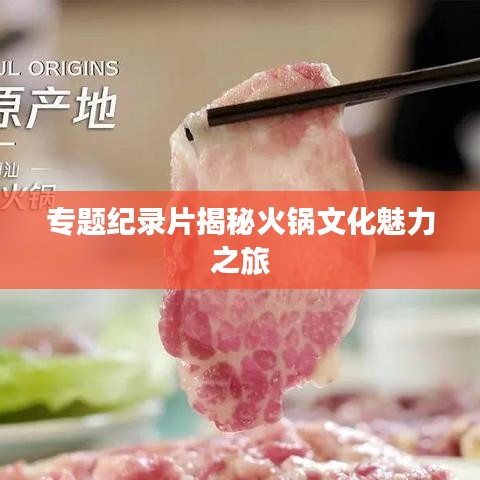 专题纪录片揭秘火锅文化魅力之旅