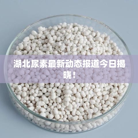 湖北尿素最新动态报道今日揭晓！