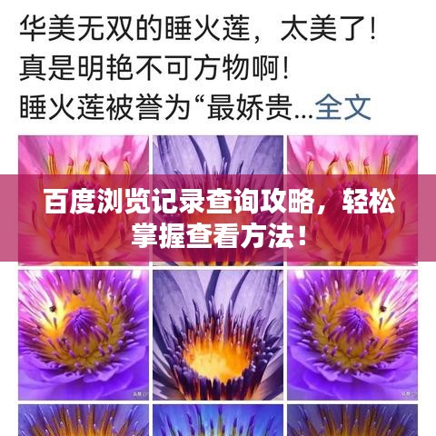 百度浏览记录查询攻略，轻松掌握查看方法！