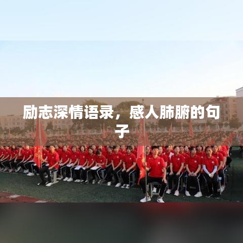 励志深情语录，感人肺腑的句子